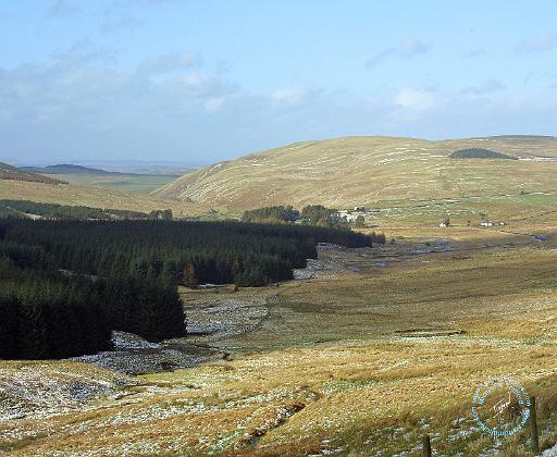 Scottish Borders 8P74D-19.JPG